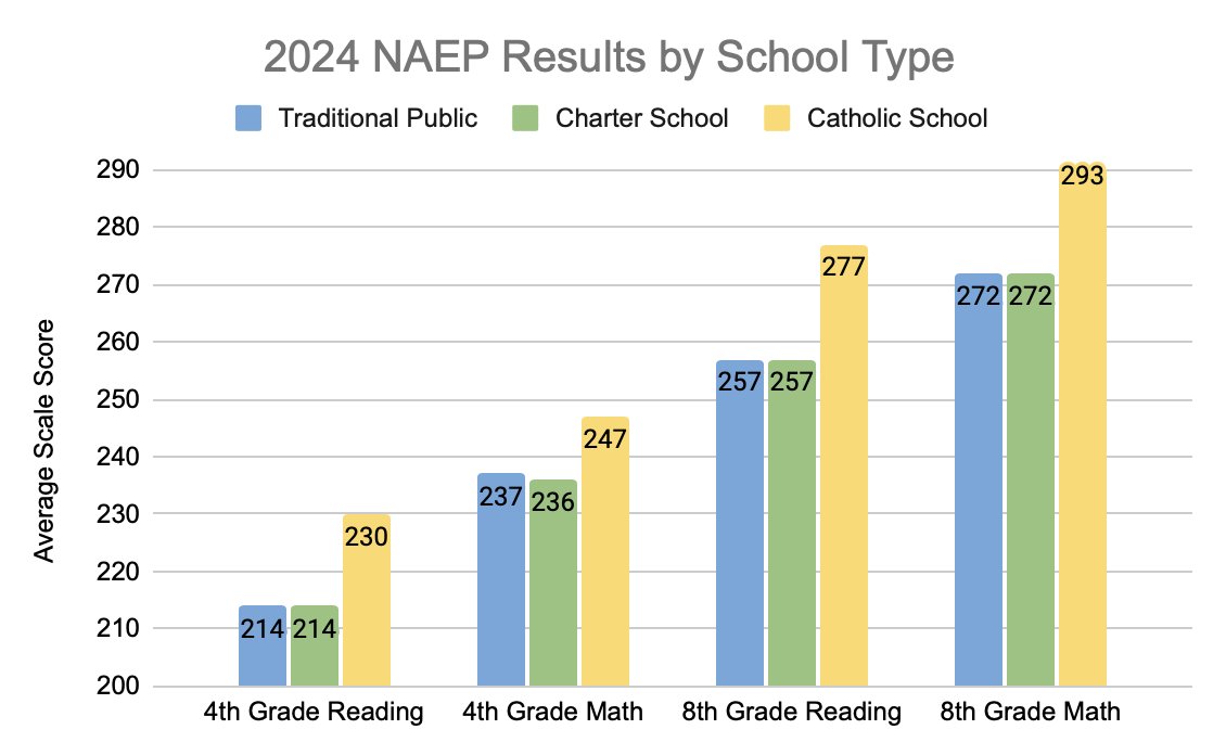 NAEP by Consultant