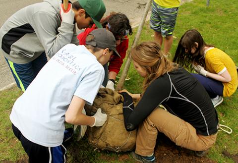 Tree planting: an act of stewardship 
