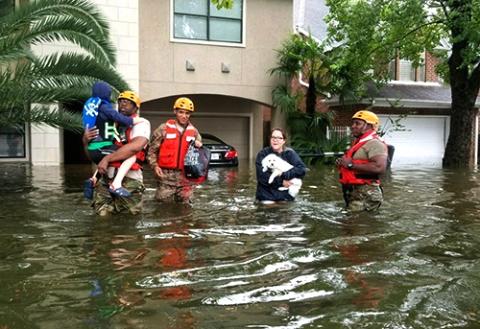 Hurricane Harvey rescues