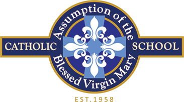 Blessed Virgin Mary School Logo